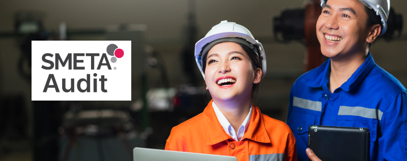 smeta audit